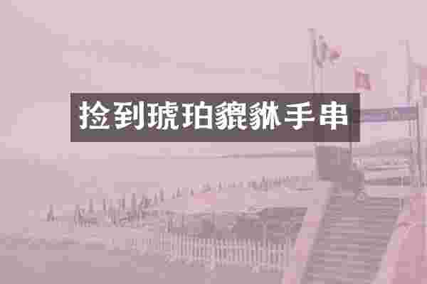 捡到琥珀貔貅手串