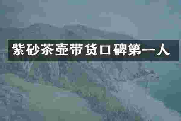 紫砂茶壶带货口碑第一人