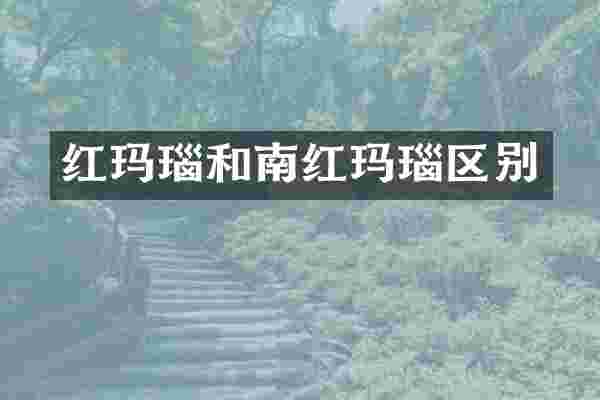 红玛瑙和南红玛瑙区别