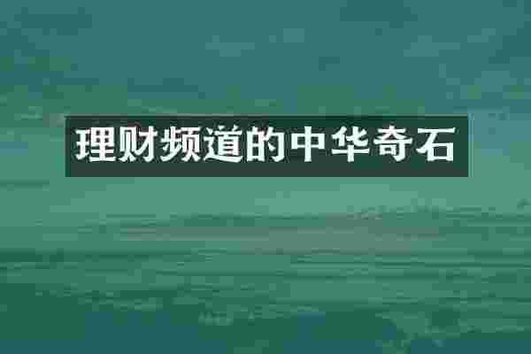 理财频道的中华奇石