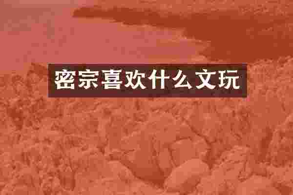 密宗喜欢什么文玩