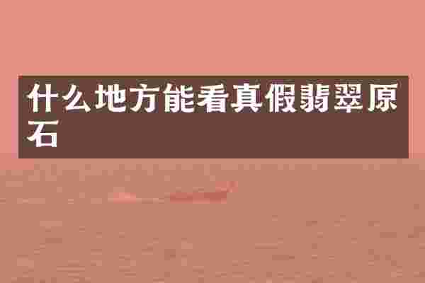 什么地方能看真假翡翠原石