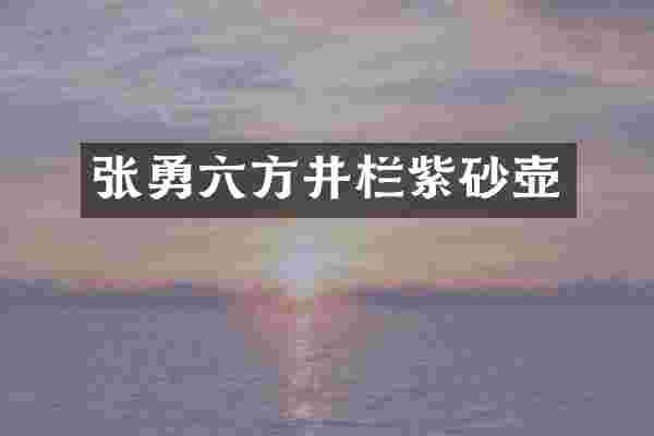 张勇六方井栏紫砂壶