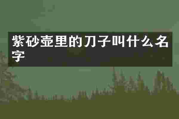紫砂壶里的刀子叫什么名字