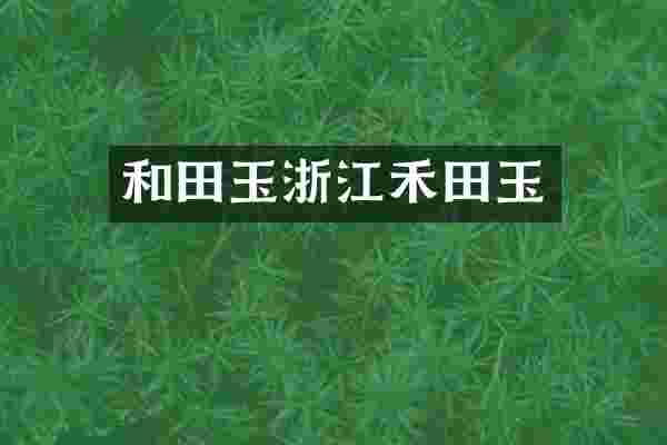 和田玉浙江禾田玉