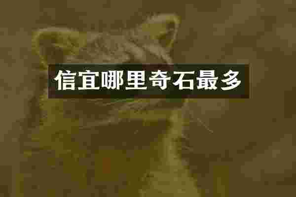 信宜哪里奇石最多