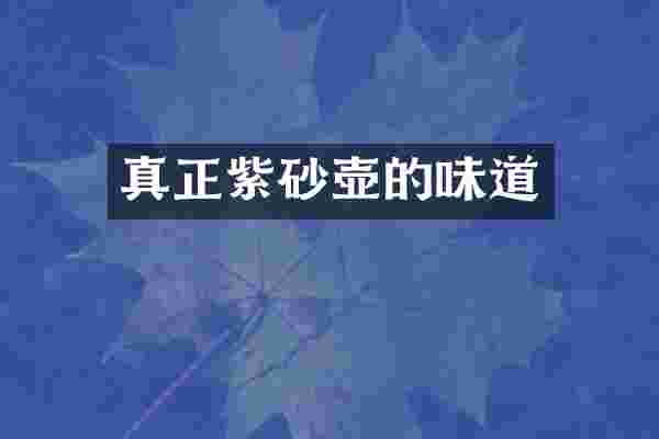 真正紫砂壶的味道