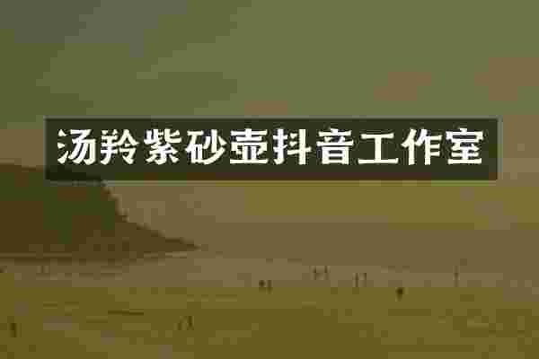 汤羚紫砂壶抖音工作室