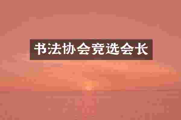 书法协会竞选会长