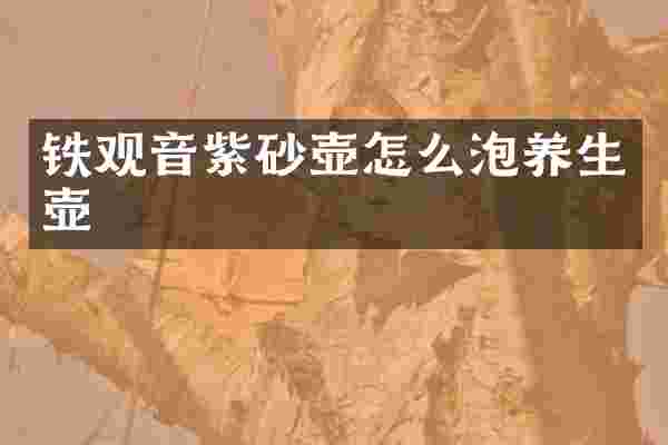 铁观音紫砂壶怎么泡养生壶