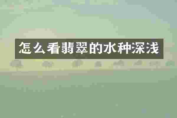 怎么看翡翠的水种深浅