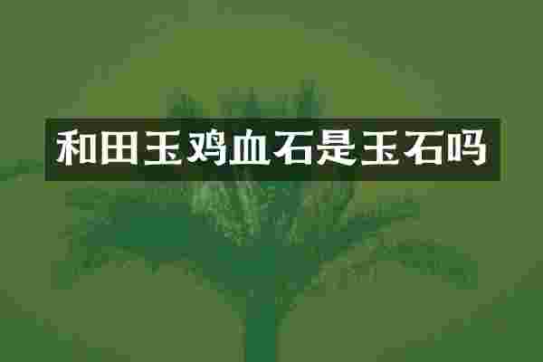 和田玉鸡血石是玉石吗