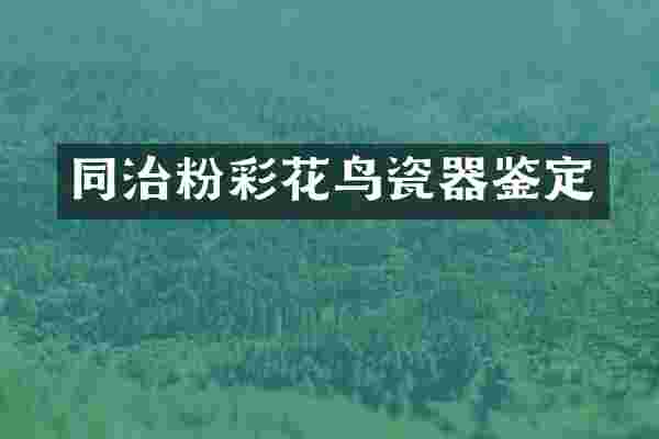 同治粉彩花鸟瓷器鉴定