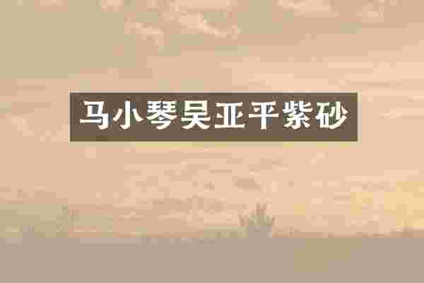 马小琴吴亚平紫砂