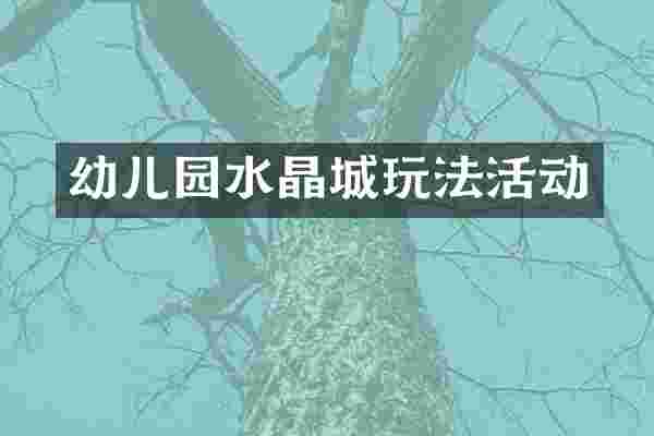 幼儿园水晶城玩法活动