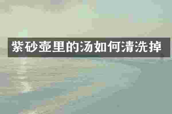 紫砂壶里的汤如何清洗掉