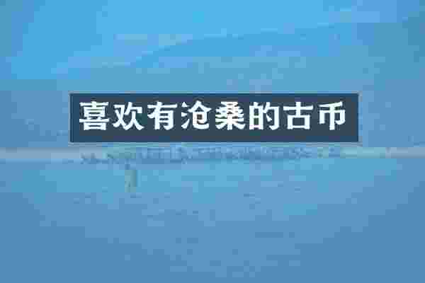 喜欢有沧桑的古币