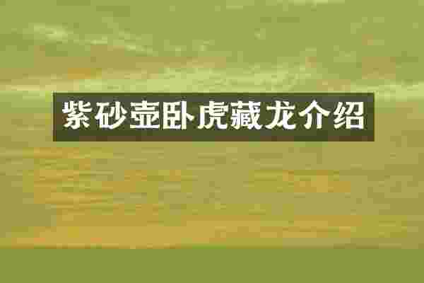 紫砂壶卧虎藏龙介绍