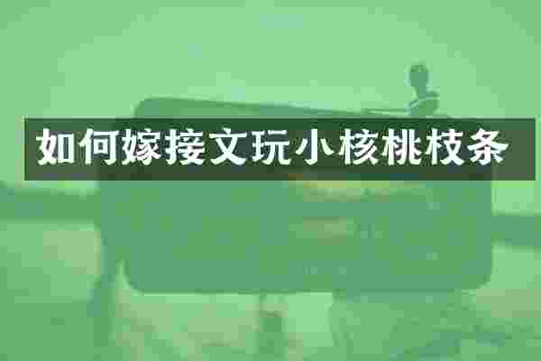 如何嫁接文玩小核桃枝条