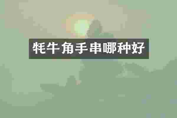 牦牛角手串哪种好