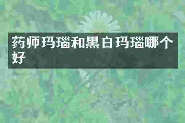 药师玛瑙和黑白玛瑙哪个好