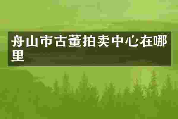 舟山市古董拍卖中心在哪里