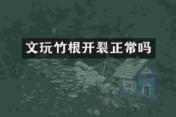 文玩竹根开裂正常吗
