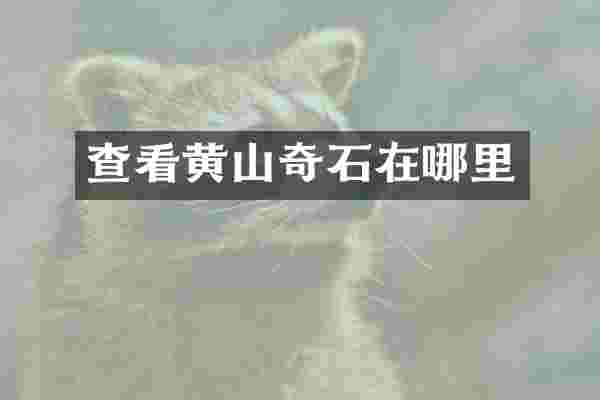 查看黄山奇石在哪里