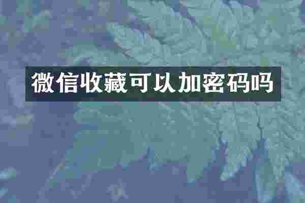 微信收藏可以加密码吗