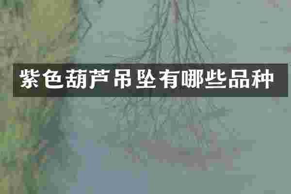 紫色葫芦吊坠有哪些品种
