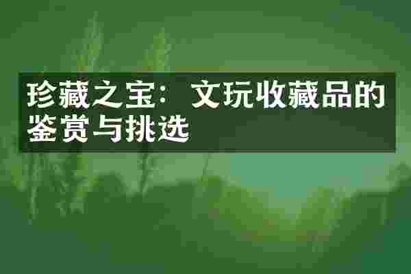 珍藏之宝：文玩收藏品的鉴赏与挑选