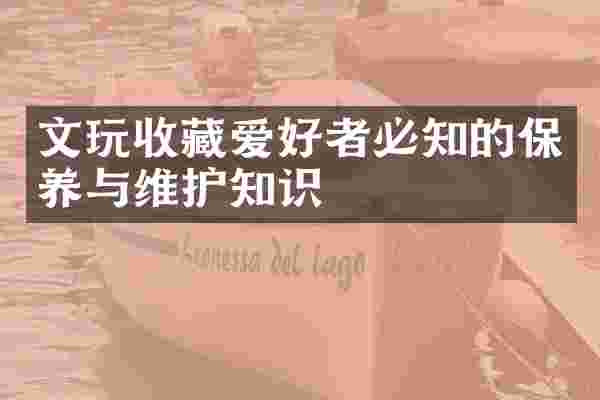 文玩收藏爱好者必知的保养与维护知识