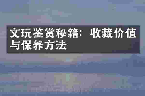 文玩鉴赏秘籍：收藏价值与保养方法