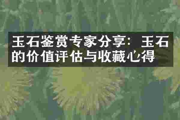 玉石鉴赏专家分享：玉石的价值评估与收藏心得
