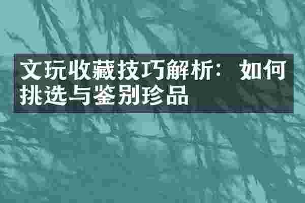 文玩收藏技巧解析：如何挑选与鉴别珍品