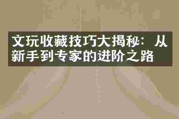 文玩收藏技巧大揭秘：从新手到专家的进阶之路