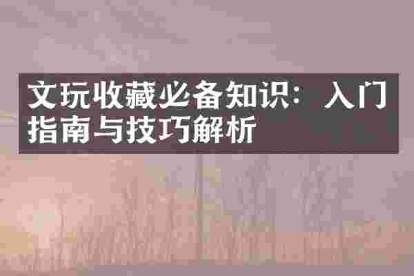 文玩收藏必备知识：入门指南与技巧解析