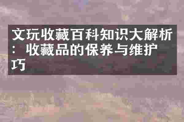 文玩收藏百科知识大解析：收藏品的保养与维护技巧
