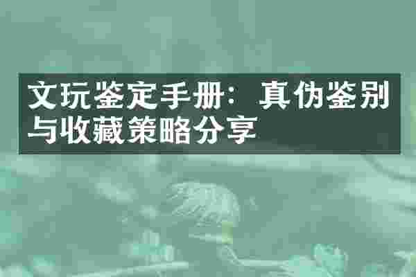 文玩鉴定手册：真伪鉴别与收藏策略分享