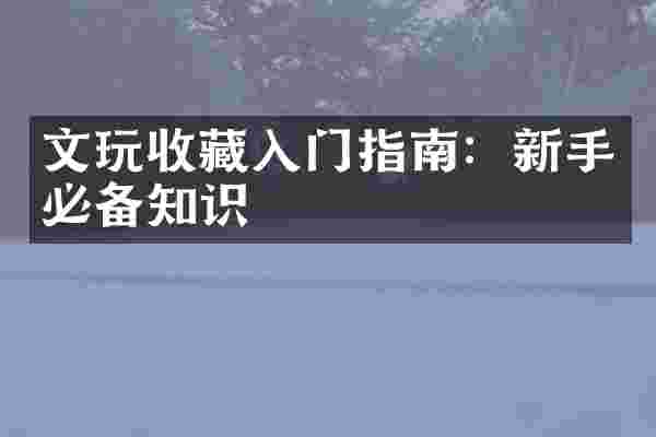 文玩收藏入门指南：新手必备知识