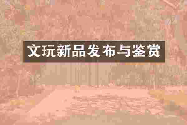 文玩新品发布与鉴赏