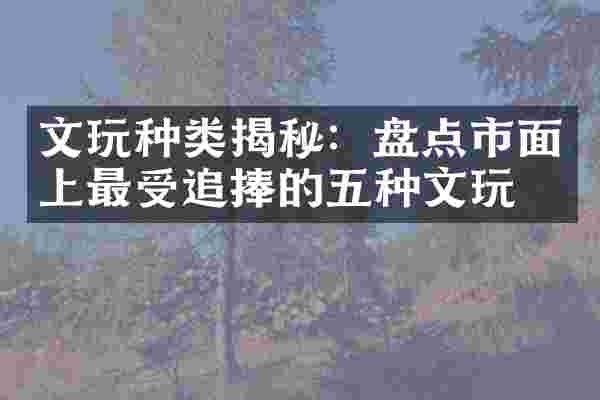 文玩种类揭秘：盘点市面上最受追捧的五种文玩