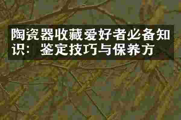 陶瓷器收藏爱好者必备知识：鉴定技巧与保养方法