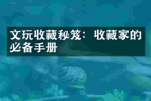 文玩收藏秘笈：收藏家的必备手册