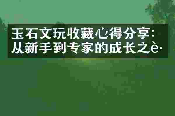 玉石文玩收藏心得分享：从新手到专家的成长之路