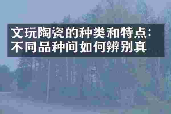 文玩陶瓷的种类和特点：不同品种间如何辨别真伪