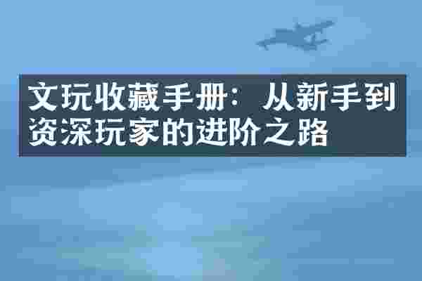 文玩收藏手册：从新手到资深玩家的进阶之路