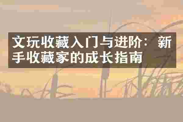 文玩收藏入门与进阶：新手收藏家的成长指南