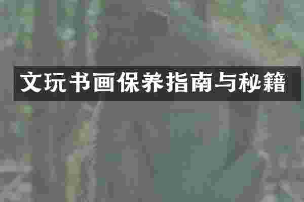 文玩书画保养指南与秘籍
