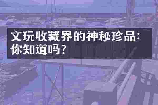 文玩收藏界的神秘珍品：你知道吗？